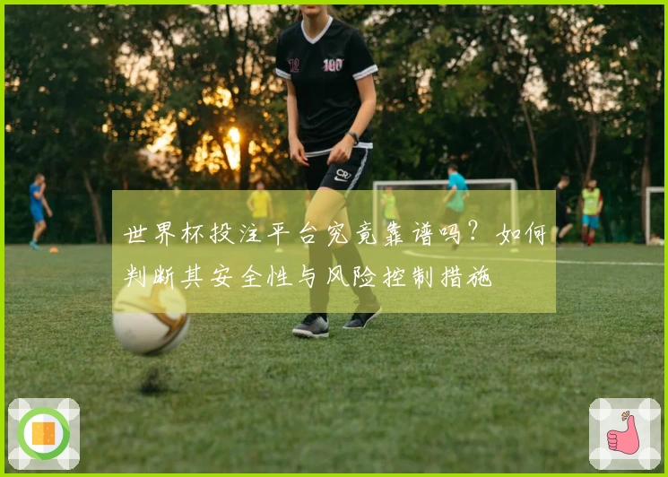 世界杯投注平台究竟靠谱吗？如何判断其安全性与风险控制措施