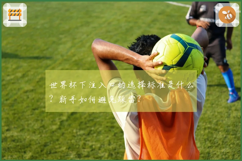 世界杯下注入口的选择标准是什么？新手如何避免踩雷？