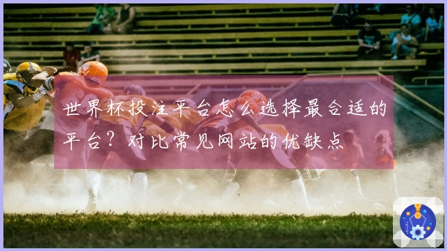 世界杯投注平台怎么选择最合适的平台？对比常见网站的优缺点