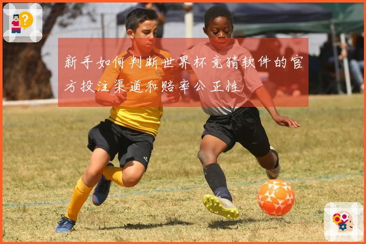 新手如何判断世界杯竞猜软件的官方投注渠道和赔率公正性