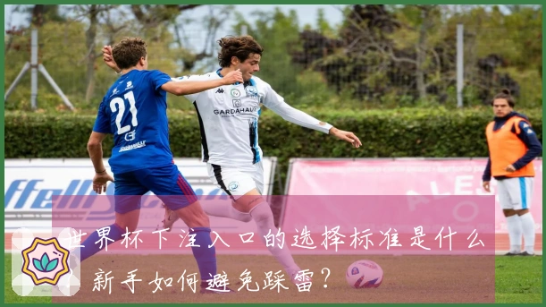世界杯下注入口的选择标准是什么？新手如何避免踩雷？