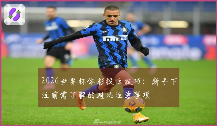 2026世界杯体彩投注技巧：新手下注前需了解的避坑注意事项