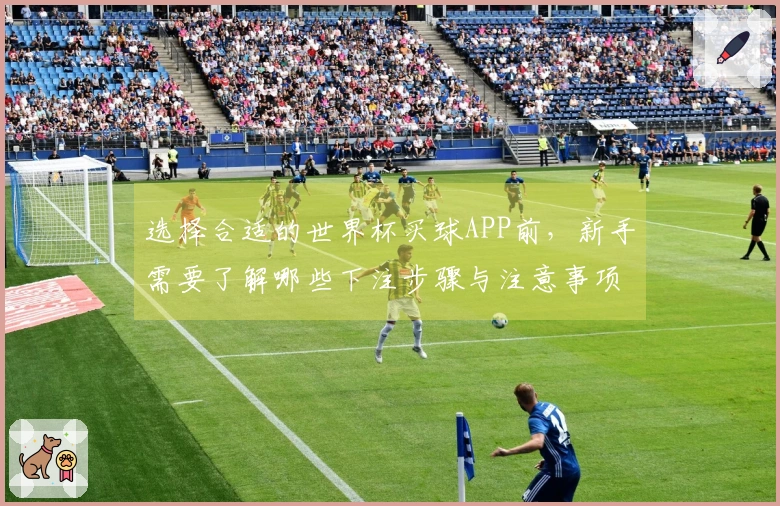 选择合适的世界杯买球APP前，新手需要了解哪些下注步骤与注意事项？