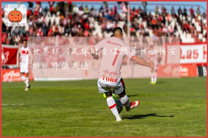 世界杯买足球时合理预算该如何安排以降低风险
