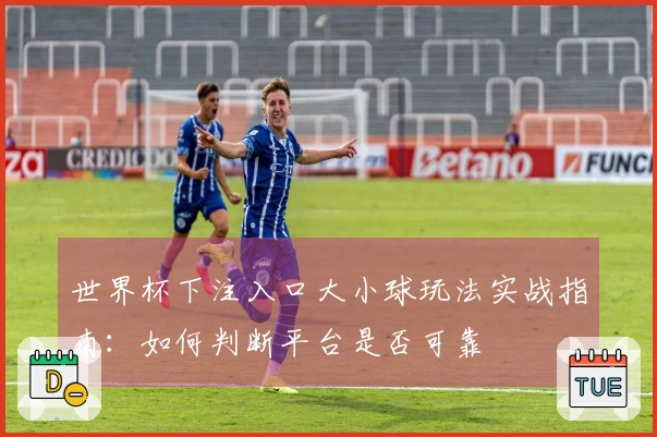世界杯下注入口大小球玩法实战指南：如何判断平台是否可靠