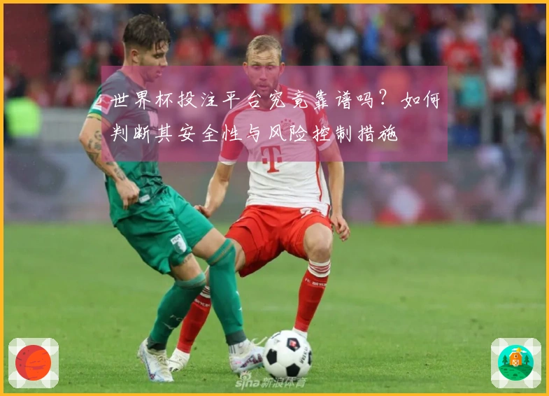 世界杯投注平台究竟靠谱吗？如何判断其安全性与风险控制措施