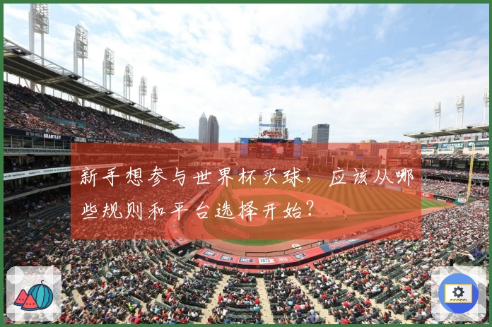 新手想参与世界杯买球，应该从哪些规则和平台选择开始？