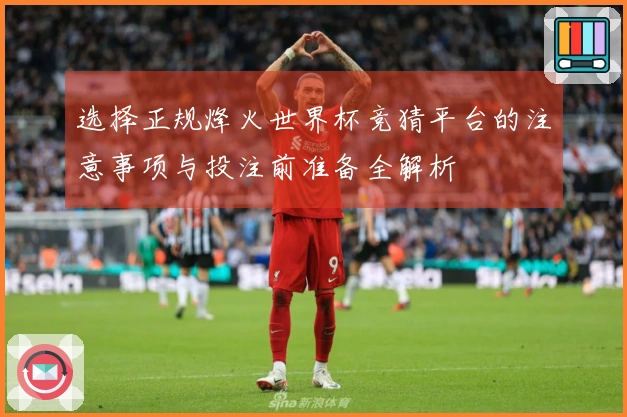 选择正规烽火世界杯竞猜平台的注意事项与投注前准备全解析