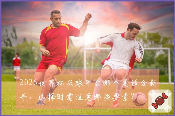 2026世界杯买球平台哪个更适合新手，选择时需注意哪些要素？