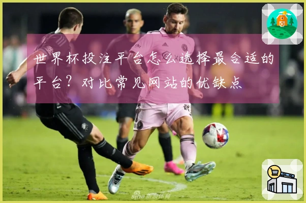 世界杯投注平台怎么选择最合适的平台？对比常见网站的优缺点