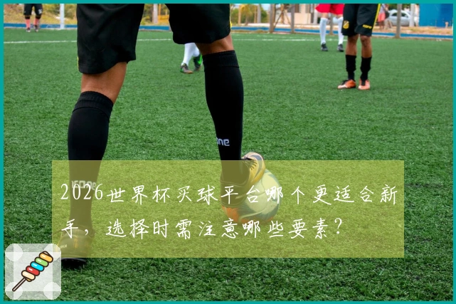 2026世界杯买球平台哪个更适合新手，选择时需注意哪些要素？
