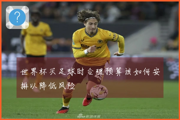 世界杯买足球时合理预算该如何安排以降低风险