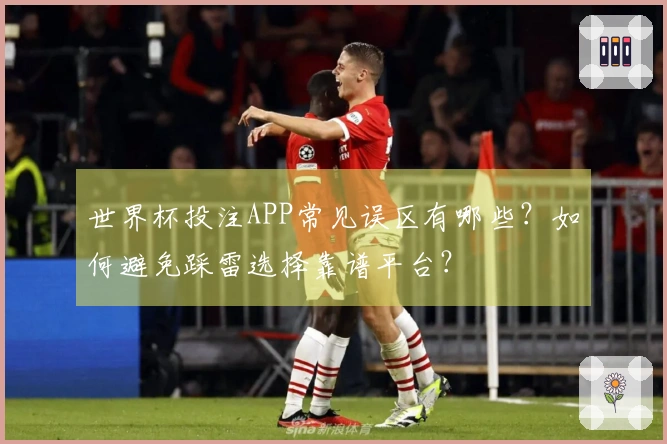 世界杯投注APP常见误区有哪些？如何避免踩雷选择靠谱平台？