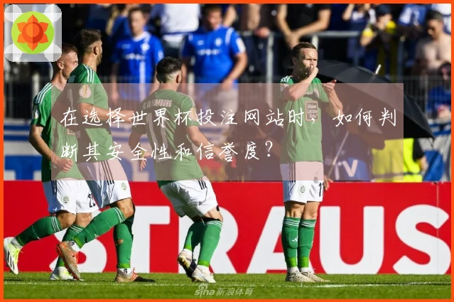 在选择世界杯投注网站时，如何判断其安全性和信誉度？